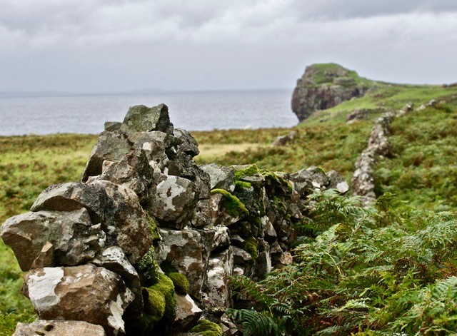 thumbnail_DSC_0491 thumbnail_DSC_0491