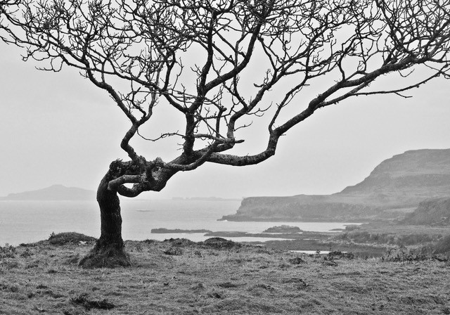 thumbnail_DSC_0955 thumbnail_DSC_0955