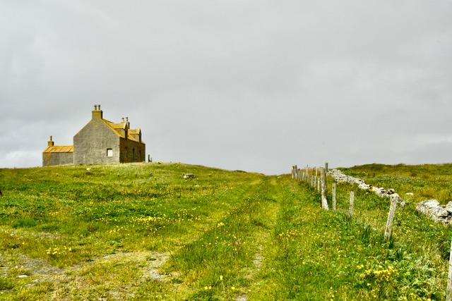 thumbnail_DSC_6953 thumbnail_DSC_6953